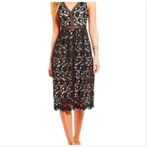 Aqua Capsule Black Lace Dress